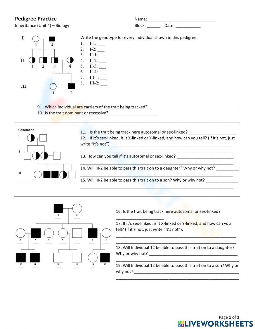 Pedigree Worksheets Printable Pedigree Worksheets Printable