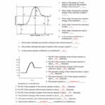 Potential Energy Diagram Worksheet With Answers