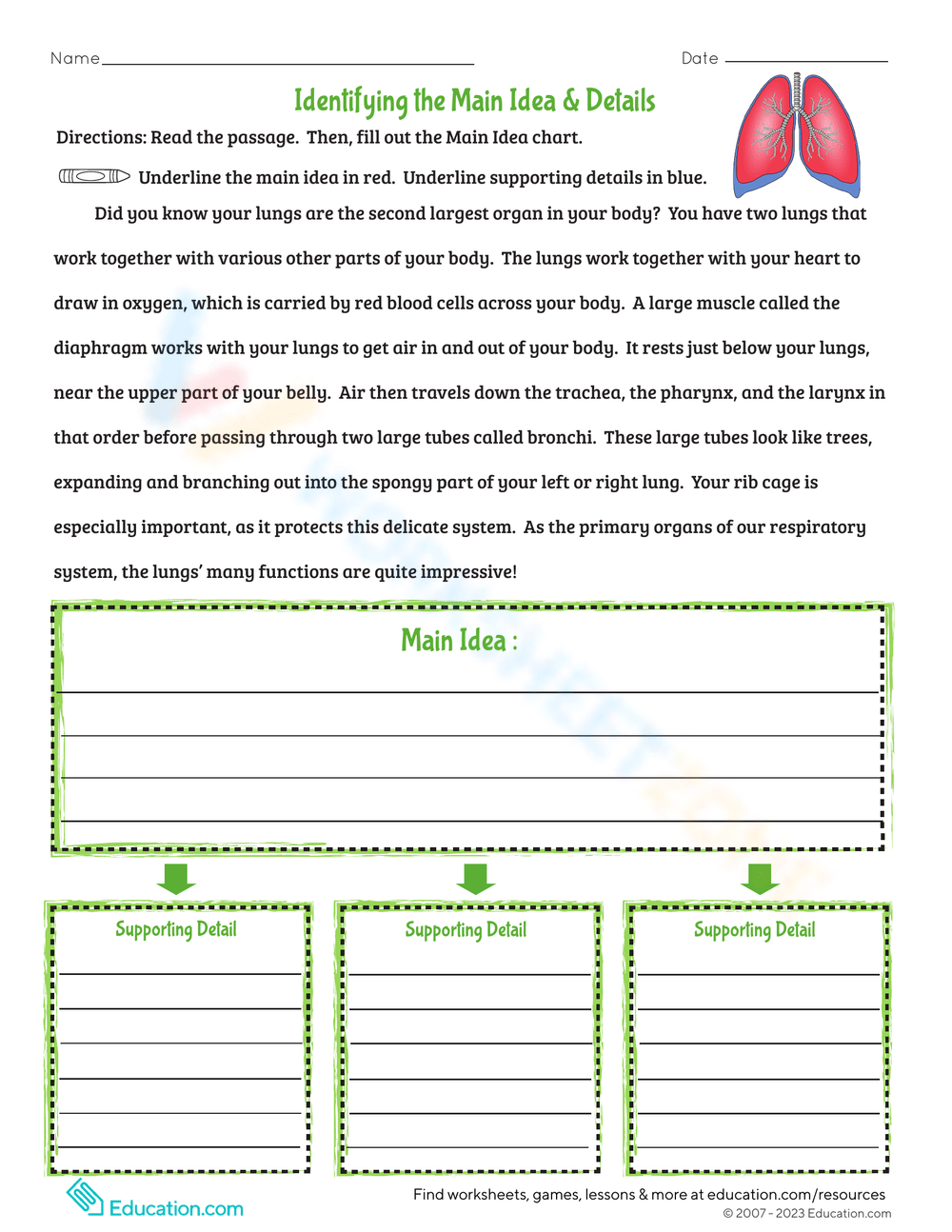 main idea and details worksheets