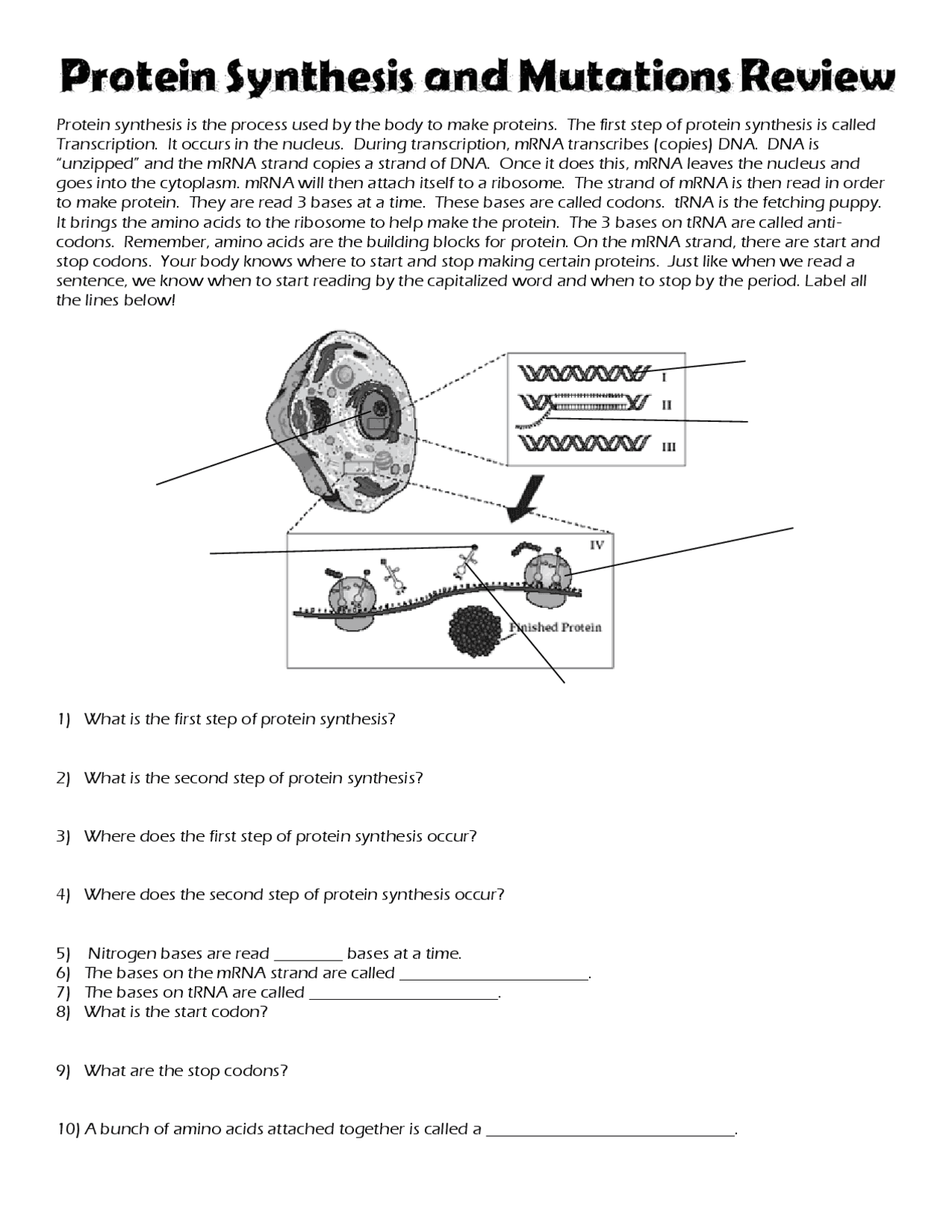 Protein Synthesis Transcription And Translation High School Biology Exercises Slides Bioqu mica Docsity Protein Synthesis Transcription And Translation High School Biology Exercises Slides Bioqu mica Docsity