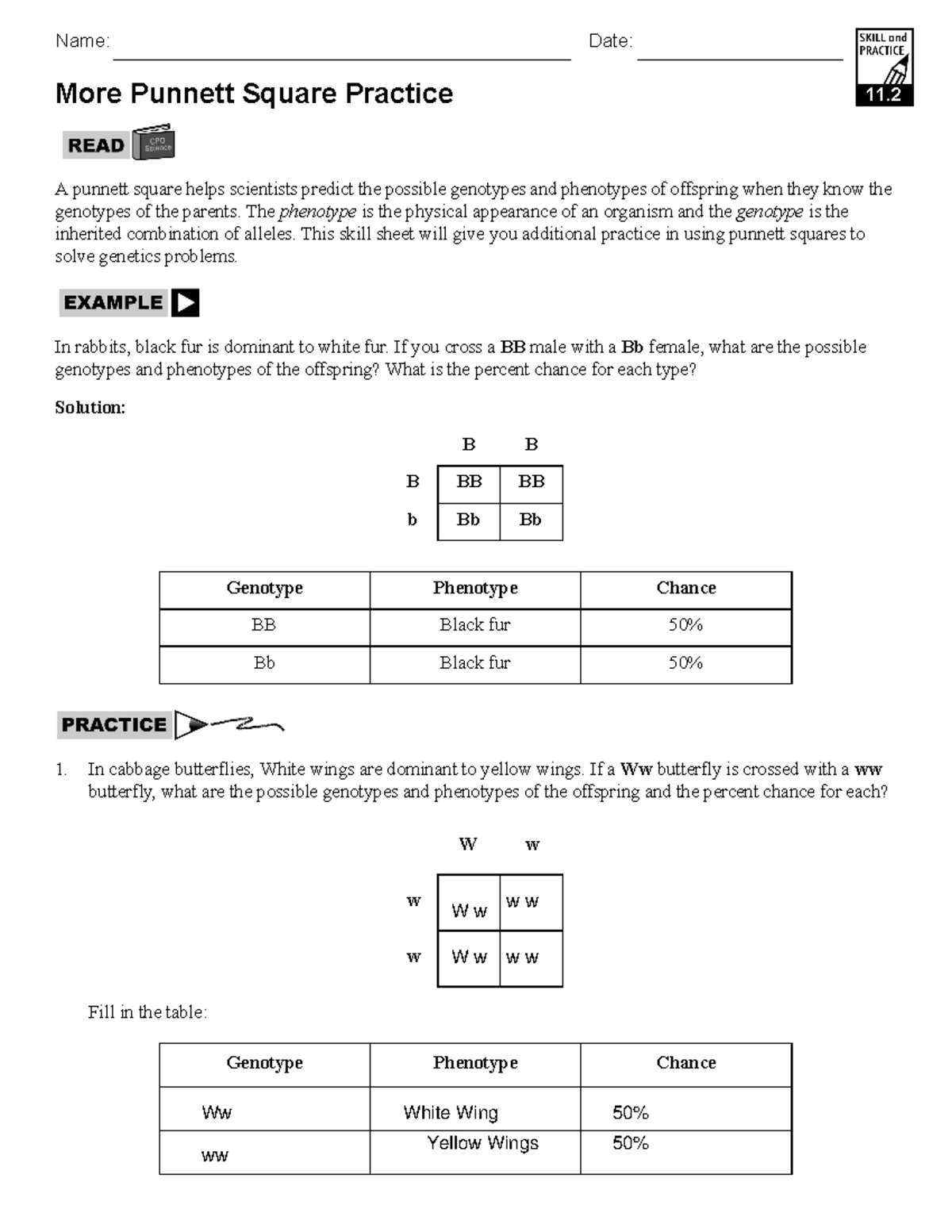Punnet Square Practice 2021 2022 School Year Name Date More Punnett Square Practice 11 A Studocu Punnet Square Practice 2021 2022 School Year Name Date More Punnett Square Practice 11 A Studocu