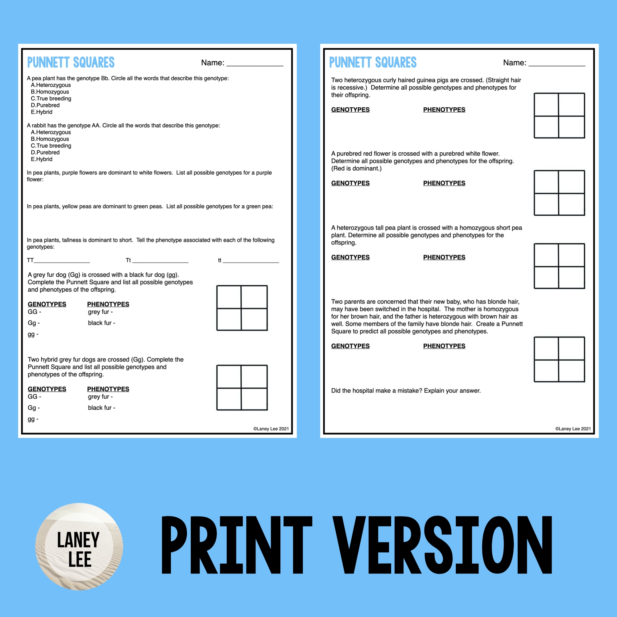punnett square worksheet answer key punnett square worksheet answer key
