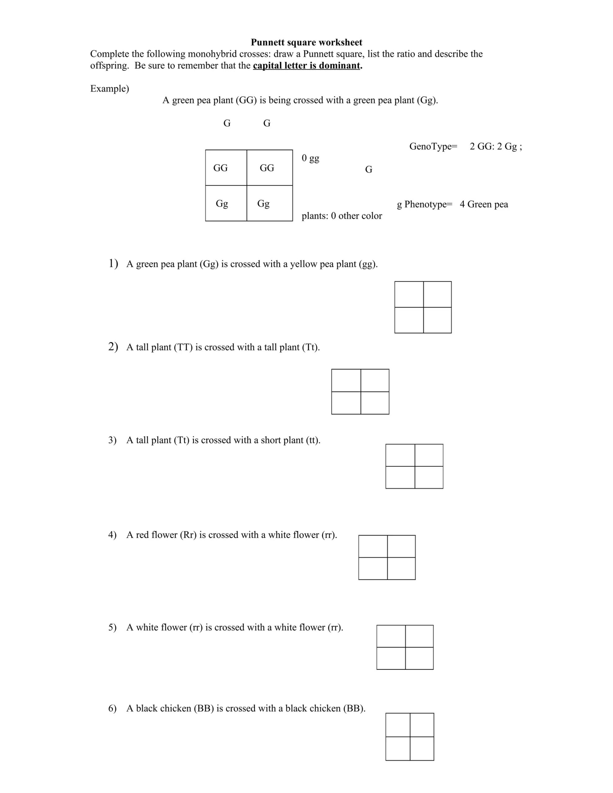 Punnett Square Worksheet DOC Punnett Square Worksheet DOC